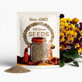 Viola Seeds Angel Tiger Eye Yellow Flower Seeds