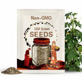 Hairy Melon Seeds - Hybrid Wax Gourd - Bí đao chanh F1