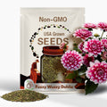 20+ Seeds| Fuzzy Wuzzy Dahlia Seeds - Perennial - Flowering - Hybrid - Open-Pollinating - Fast Growing - Clumping - Plant in Spring #D046