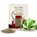Parris Island Lettuce Seeds - 25/50/100 Seed Counts