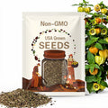 Physalis heterophylla Seeds: North American Native Ground Cherry - 20 Seeds free shipping!