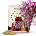 Baby’s Breath Flower Seeds - Grow Beautiful Flowers Indoors, Outdoors, In Pots, Grow Beds, Soil, Hydroponics & Aquaponics