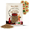 Sunburst Moss Rose Seeds - Low Maintenance,Ground Cover, Attracts Pollinators, Plant in Spring/Summer