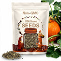 Atlantic Giant Pumpkin Seeds – Packet of 2 Seeds | Grow Huge, Bright Orange Pumpkins!