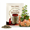 1593.5 Pound Giant Pumpkin Seeds - "Martha Stewart" - 2 seeds