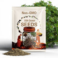 Maori Dock Seeds ~Rumex flexuosus~ New Zealand Bronze Sorrel ~ Chocolate Brown Leaves ~ Culinary Accent ~ Unique Container Plant