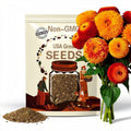 50+ Double Tall Teddy Bear Sunflower Seeds, Natural  Heirloom, Fluffy Double Blooms for Garden, Tall Garden Showstopper, Pollinator Friendly