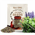 Perennial 20 Solomon seal wildflower seeds