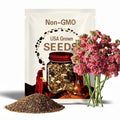 Stock Antique Rose x 25 Seeds