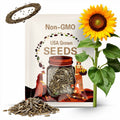 Giant Sunflower Seeds From 20 Foot Tall Mother Plant