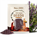 Fengyuan Purple Eggplants Seeds