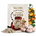 10 Porcelain Doll Pumpkin Seeds. Ships free