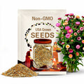 Strawflower Seeds Mixed Color | Pollinator Friendly | Drought-Tolerant | Easy-to-Grow Annual