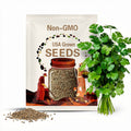 Santo Cilantro/Coriander Seeds | Heirloom - Non-GMO | Coriandrum Sativum | Herb Seeds | Seed Store | 1279