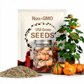 Pumpkin Galeux d'Eysines Squash x 10 Seeds
