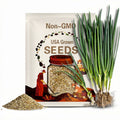 Warrior Bunching Onion Seeds, AAS, NON-GMO, Japanese Bunching Onion, Free Ship