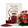 Red Ixora Jungle Geranium 5 Fresh Seeds