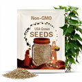 50 CHINA JADE Burpless Cucumber seeds; non-GMO Heirloom; great germination rate; March 2025 test date