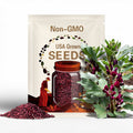 Crimson Flowered Fava Beans, Certified Organic Heirloom Seeds Rare Fava Seeds Grown in USA Cover Crop Make Beaded Bracelets Beaded Necklaces
