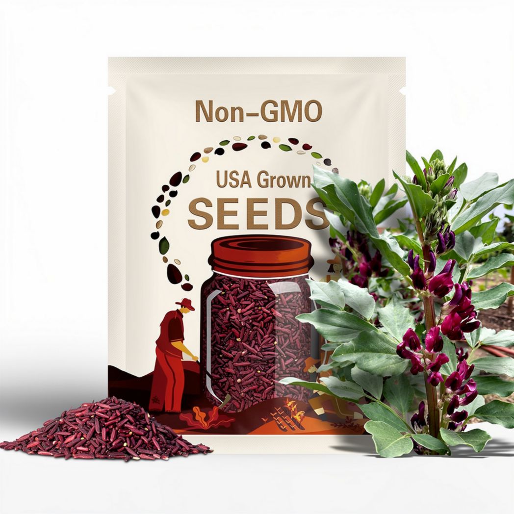 Crimson Flowered Fava Beans, Certified Organic Heirloom Seeds Rare Fava Seeds Grown in USA Cover Crop Make Beaded Bracelets Beaded Necklaces