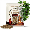 Sugar Maple Tree (Acer Saccharum) Seeds