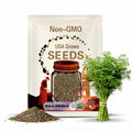 Dukat Dill Herb Seeds - Annual - Edible, Fragrant, Fast Growing, High Yield, Attracts Pollinators - Plant in Early Spring or Fall