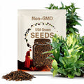 African Red Burley Tobacco Seeds - 1,000 Seeds - High Nicotine Strain!
