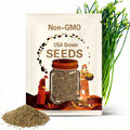50s| Chinese Garlic Chives Seeds - Asian Chives, Chinese Leek Jiucai - Culinary Use | Non-GMO | Fragrant & Flavorful Herb Seeds#7028