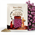 Alyssum Seeds – Rosie Purple 1500 Seeds| Fragrant Violet-Purple Blooms, Low-Growing Ground Cover for Borders & Containers