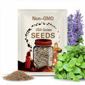 Applemint Seeds ~Mentha suaveolens~ Apple Mint ~ Woolly Mint ~ Pineapple Mint ~ Round-leaved Mint