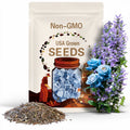 Broken Ice Blue Rose Seeds 20pcs- Non-GMO Heirloom Variety