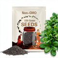 Early Hybrid F1 No 7 Spinach Seeds
