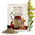 Native Goldenrod Seed Collection: Wildflower Meadow Pollinator Garden