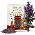 Purple Tulsi Holy Basil Organic Seeds (O. Sanctum) Perennial | A Medicinal Herb & Culinary Spice 500+seeds