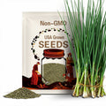 Garlic Chives, Chinese Chives, Chinese Leek SEEDS | Non-GMO, Organic | Treevales