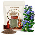 30 Seeds| Dwarf Blue Mink Ageratum Seeds - Potted - Fast Growing - Attracts pollinators- Open-Pollinating- Great for Borders & Containers #5