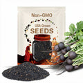 Black Spanish Round Radish Seeds | Heirloom Variety | Bold Flavor & Excellent Storage