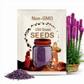 Purple Blazing Star Bulbs – Liatris Spicata 5pcs