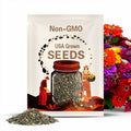 California Giant Zinnia Seeds Heirloom Non-GMO