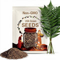 300 Polystichum acrostichoides Fern Spores/Seeds