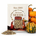 10 Kettle Corn Pumpkin Seeds. Ships free
