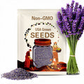 Fresh Lavender Flower 20 Seeds